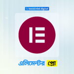 Elementor Pro